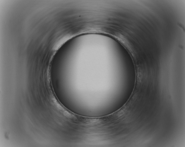 X0000103451382200809191737