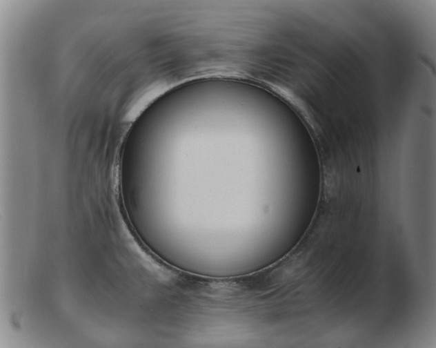 X0000103451383200809191737