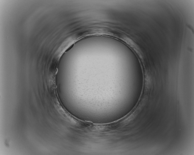 X0000103451385200809191737