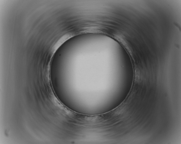 X0000103451386200809191737
