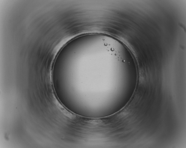 X0000103451388200809191737