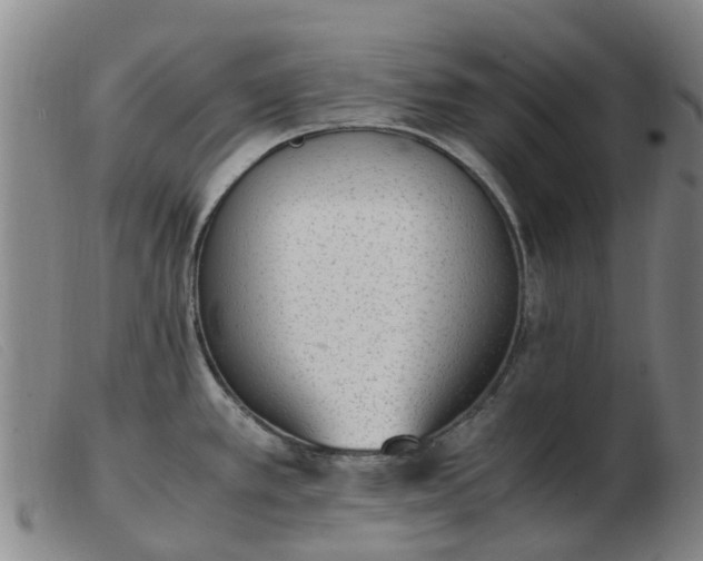 X0000103451389200809191737
