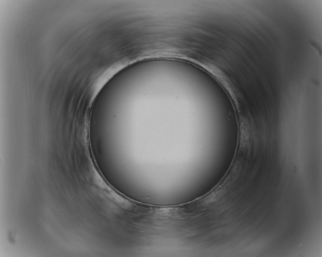X0000103451390200809191737