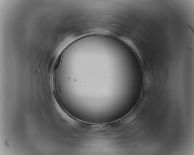 X0000103451391200809191737