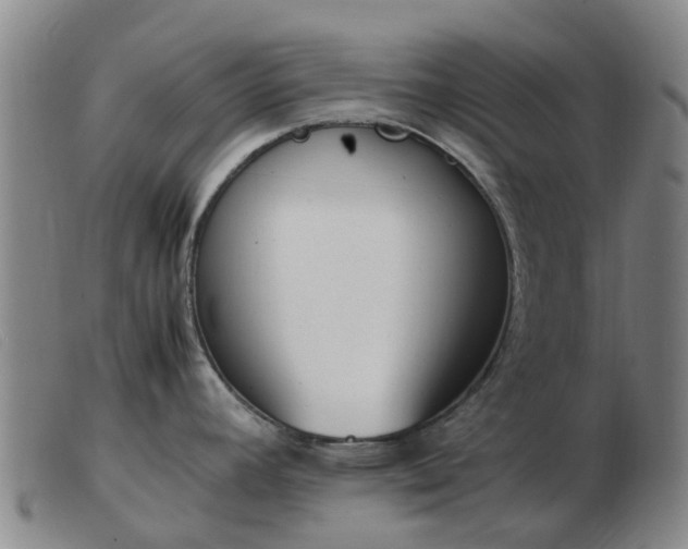 X0000103451392200809191737