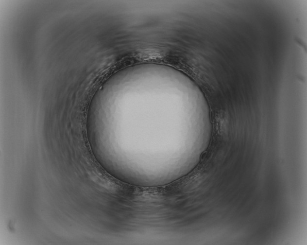 X0000103451393200809191737