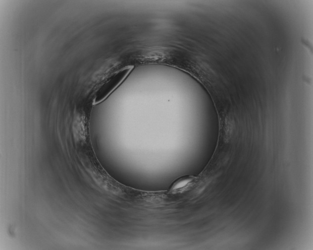 X0000103451394200809191737