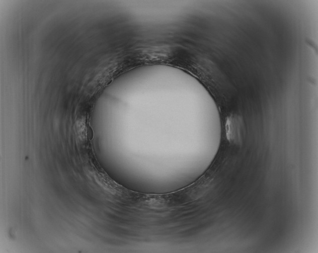 X0000103451395200809191737
