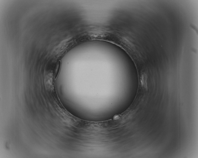 X0000103451396200809191737