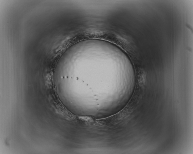 X0000103451397200809191737