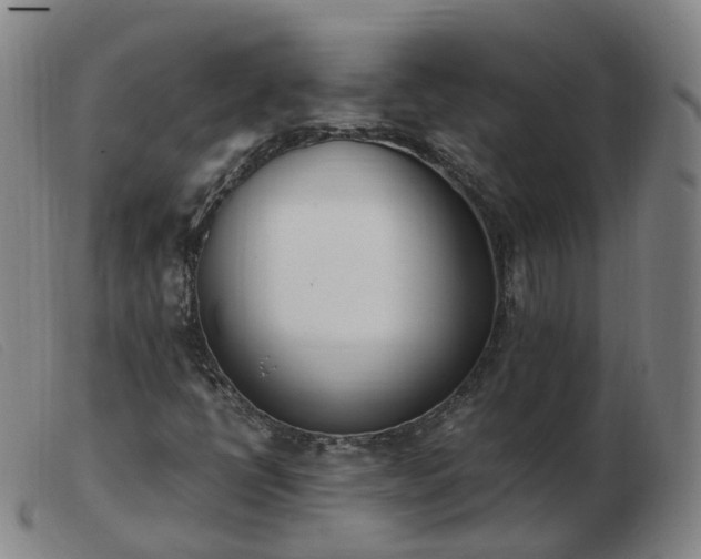 X0000103451398200809191737
