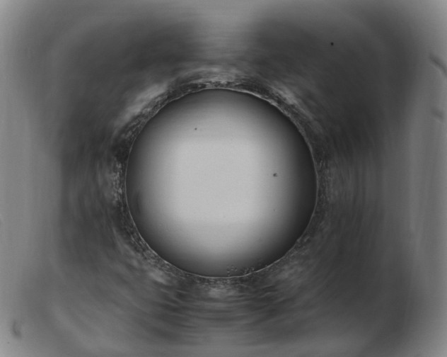 X0000103451399200809191737