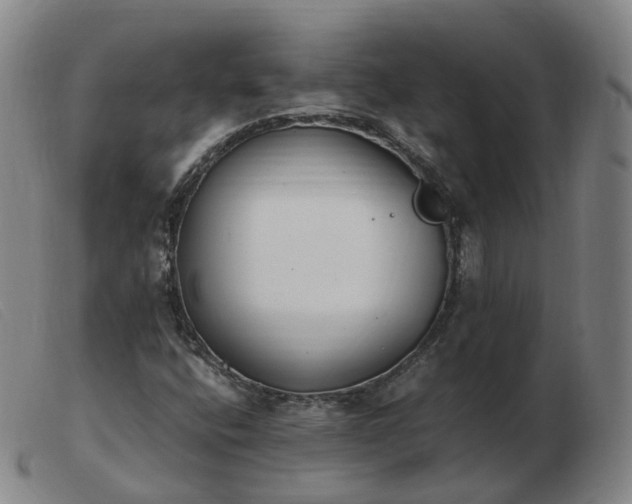 X0000103451400200809191737