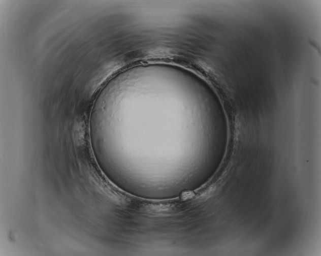 X0000103451401200809191737