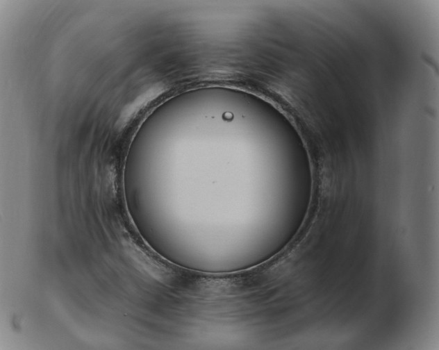 X0000103451402200809191737
