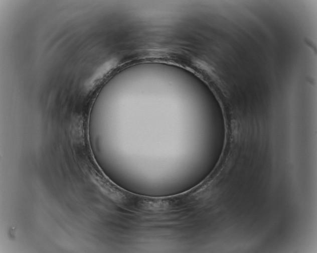 X0000103451403200809191737