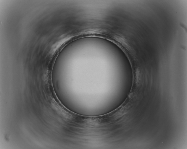 X0000103451404200809191737