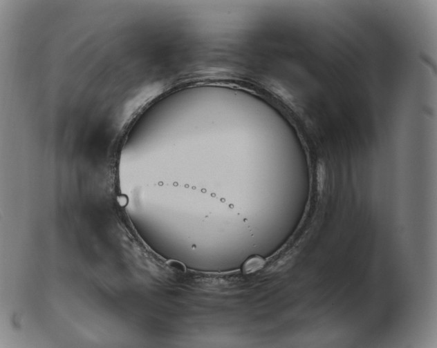 X0000103451405200809191737