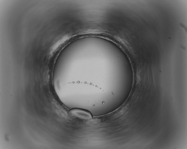 X0000103451406200809191737