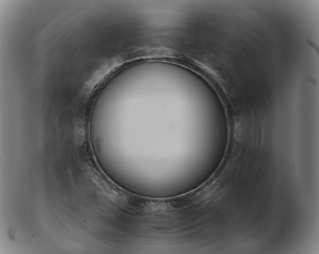 X0000103451407200809191737