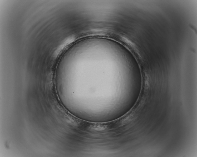 X0000103451411200809191737