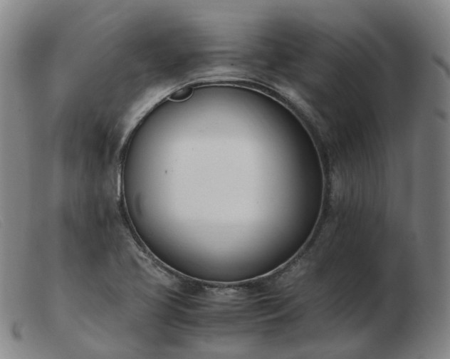 X0000103451413200809191737
