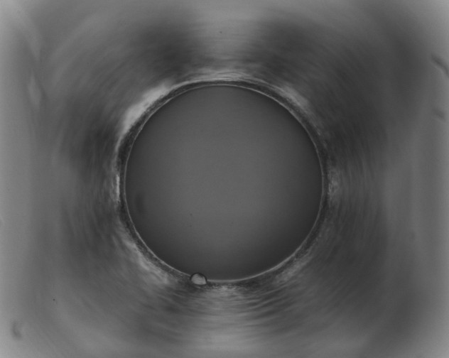 X0000103451414200809191737