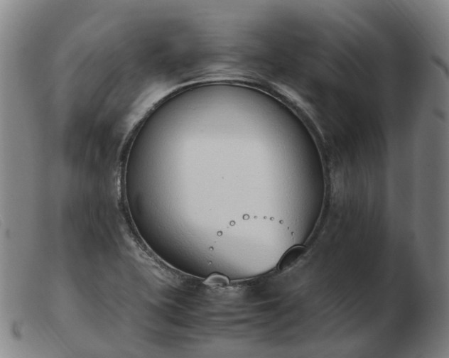 X0000103451415200809191737