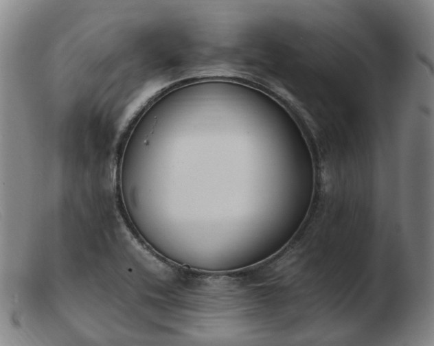 X0000103451416200809191737
