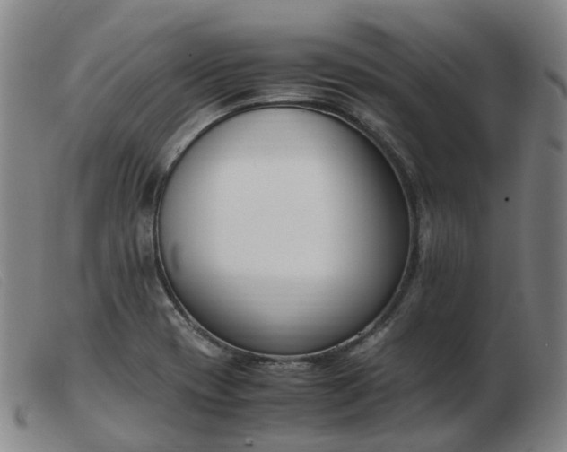 X0000103451417200809191737
