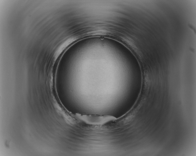 X0000103451418200809191737