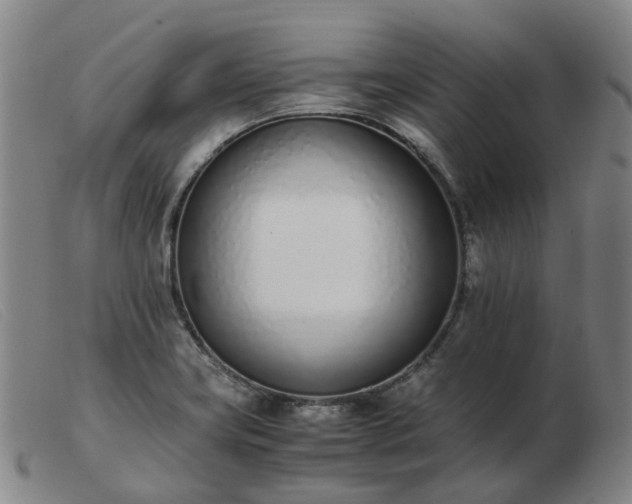 X0000103451419200809191737