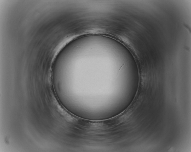 X0000103451421200809191737