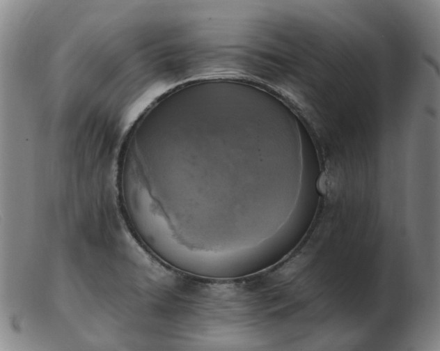 X0000103451422200809191737