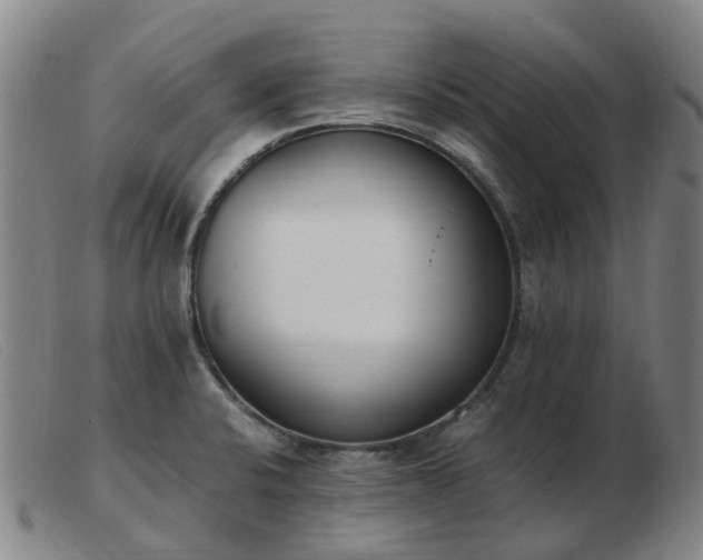 X0000103451424200809191737