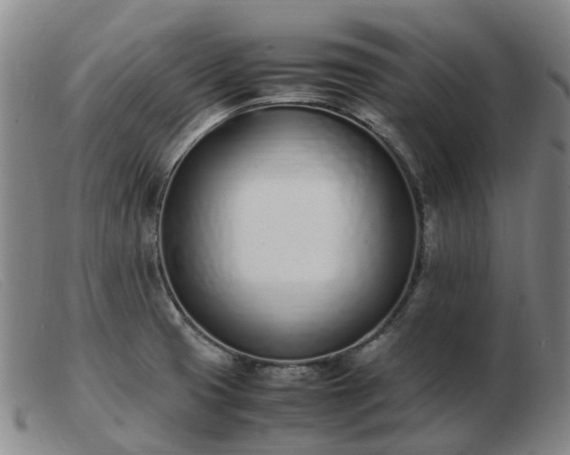 X0000103451425200809191737