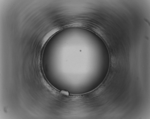 X0000103451426200809191737