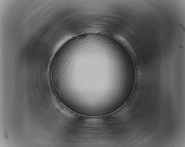 X0000103451427200809191737