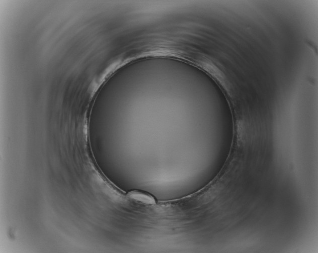 X0000103451428200809191737