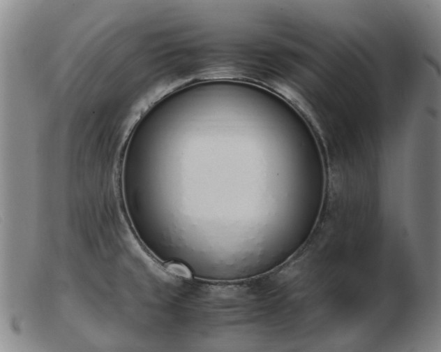 X0000103451429200809191737