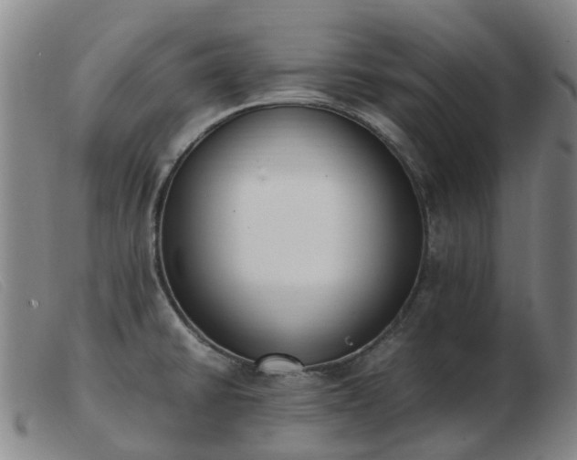 X0000103451430200809191737