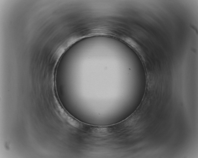 X0000103451431200809191737