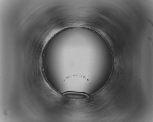 X0000103451432200809191737