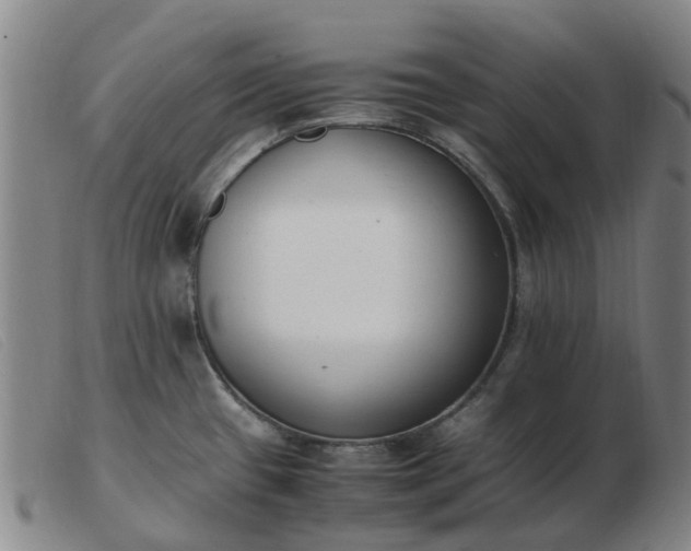 X0000103451433200809191737