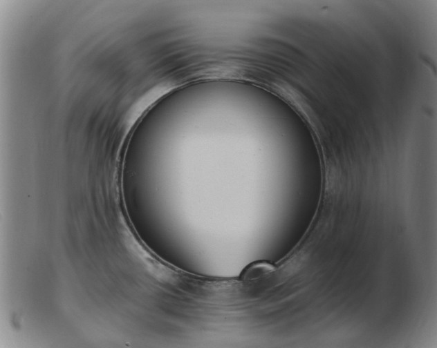 X0000103451434200809191737