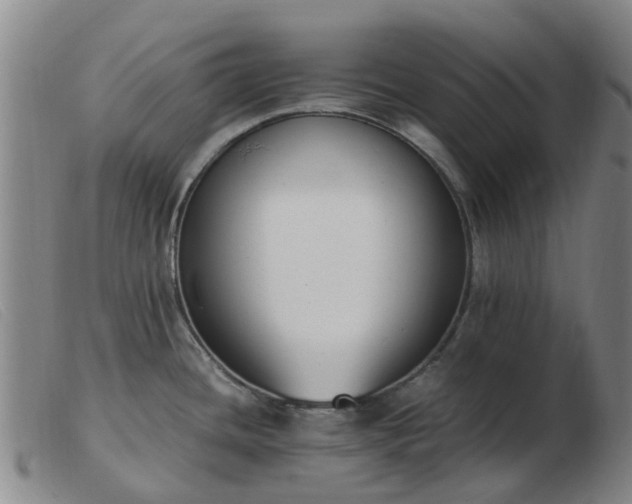 X0000103451436200809191737