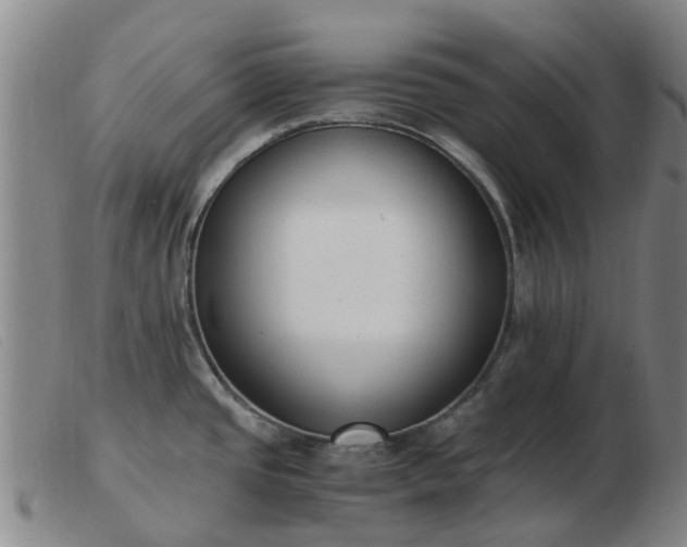 X0000103451437200809191737