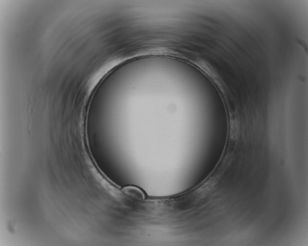 X0000103451438200809191737
