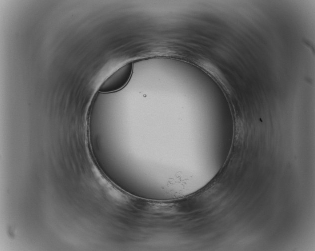 X0000103451439200809191737