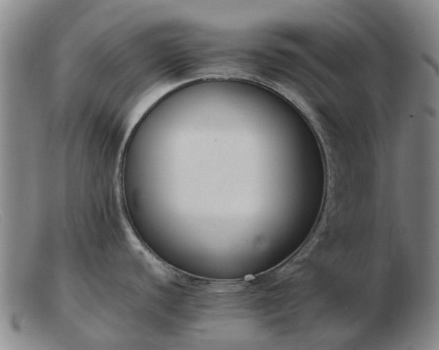 X0000103451440200809191737